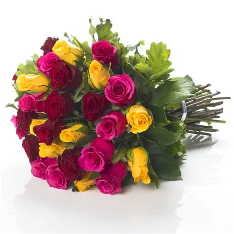rosascolores