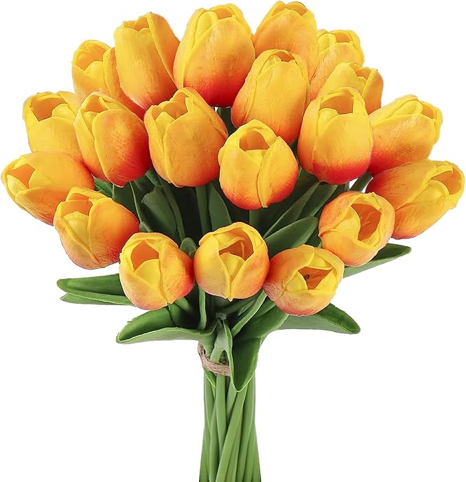 tulipanesnaranjos