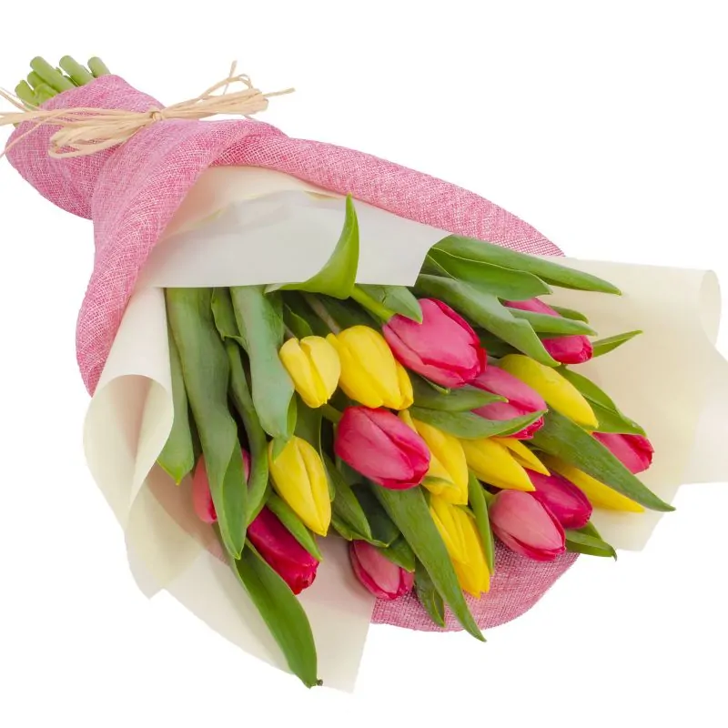 tulipanesvarios